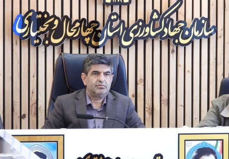 گندم چهارمحال و بختیاری تا پایان سال تأمین شده است / اخبار چهارمحال و بختیاری - اخبار استانها