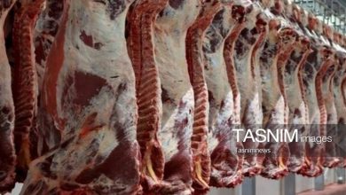 تولید 4500 تن گوشت قرمز و مرغ در نیمه نخست امسال در کهگیلویه / اخبار کهگیلویه و بویراحمد - اخبار استانها