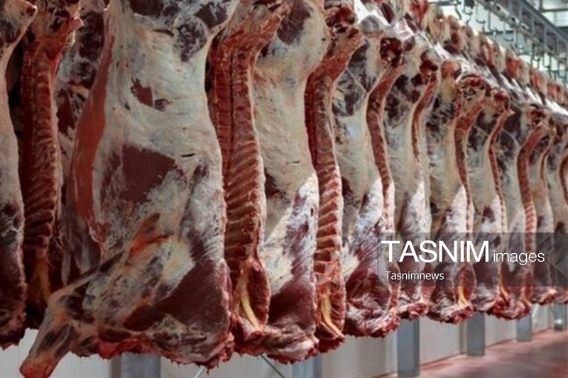 تولید 4500 تن گوشت قرمز و مرغ در نیمه نخست امسال در کهگیلویه / اخبار کهگیلویه و بویراحمد - اخبار استانها