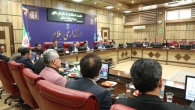 مطالبه سمنهای ایلام از استاندار؛ از عدالت در سلامت تا مشارکت در امنیت / اخبار ایلام - اخبار استانها