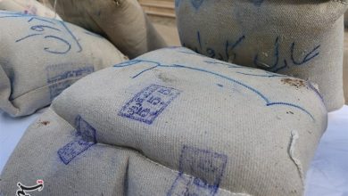کشف بیش از 10 کیلو ماریجوانا در شهرری/ فروشنده مواد مخدر دستگیر شد / اخبار استان تهران - اخبار استانها