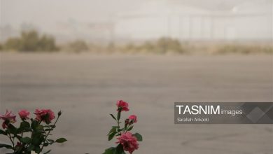 35 کانون گرد و غبار خراسان جنوبی را محاصره کردهاند؛زنگ خطر برای طبیعت / اخبار خراسان جنوبی - اخبار استانها