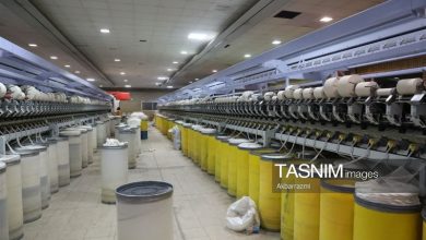 معاون وزارت کار: سنگر تولید امروز ادامه مسیر ایثار شهداست / اخبار کردستان - اخبار استانها