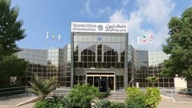 پذیرش دانشجو در 8 رشته کارشناسی پردیس بینالملل کیش دانشگاه تهران / اخبار جزایر خلیج فارس - اخبار استانها