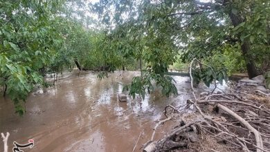 160 سیلاب در 20 سال؛ گلستان چگونه در محاصره سیلاب گرفتار شد؟ / اخبار گلستان - اخبار استانها
