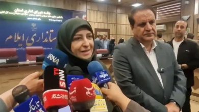 ایلام در مسیر تقویت دیپلماسی محیط زیستی با عراق قرار دارد / اخبار ایلام - اخبار استانها
