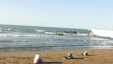 سند مالکیت برای 666 هکتار از اراضی ساحلی غرب مازندران صادر شد / اخبار مازندران - اخبار استانها