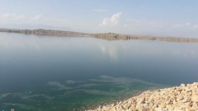 ظرفیت دانشگاههای خوزستان برای مدیریت منابع آب و مخاطرات اقلیمی / اخبار خوزستان - اخبار استانها
