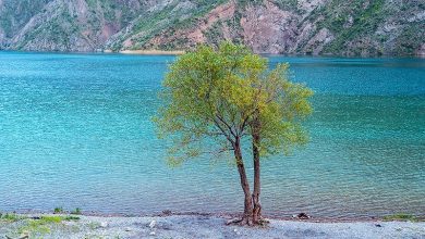 چرا دریاچه افسانهای لرستان به ثبت رامسر رسید؟ / اخبار لرستان - اخبار استانها