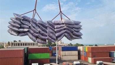 جابهجایی بیش از 3.7 میلیون تن کالا در محورهای مواصلاتی استان بوشهر / اخبار بوشهر - اخبار استانها