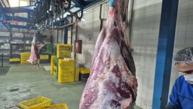 نتیجه کشف 2 محموله گوشت در مهرشهر کرج چه شد؟ / اخبار البرز - اخبار استانها