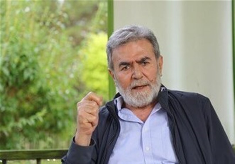 זיאד אל-נחלה: קבלת הפסקת אש היא הודאה ברורה של האויב בתבוסה בקרב השדה