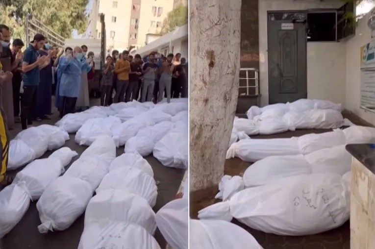 חשיפת הפשע הנורא של הציונים במלחמת עזה/חטיפת הנעדרים וגופות הקדושים לגניבת חלקי גופם