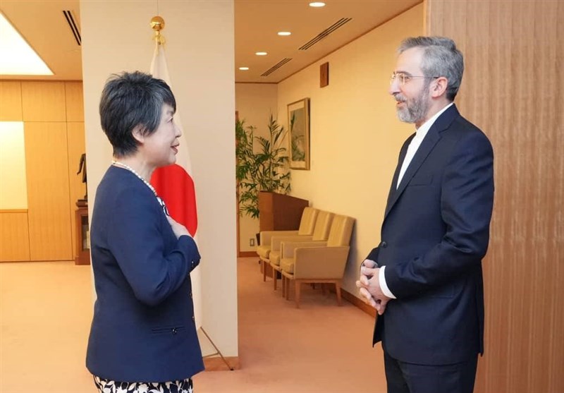 באגרי: עקירת תושבי עזה היא דוגמה לטיהור אתני