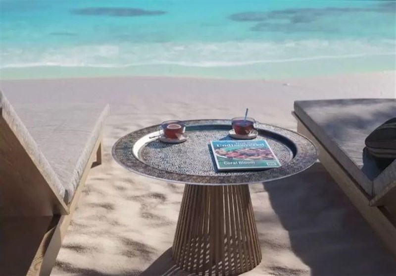 גרמניה סוקרת את פעולותיה הימיות בים האדום