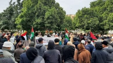 הפגנות של המגריבים נגד חידוש ההתקפות של המשטר הישראלי על עזה