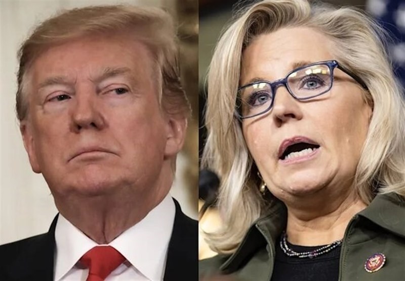 צ'ייני: מייק ג'ונסון הוא שותף לטראמפ