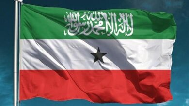 וושינגטון ביקשה מאתיופיה לכבד את השלמות הטריטוריאלית של סומליה