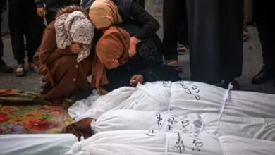 כנני: החלטת בית הדין הבינלאומי היא הוכחה לרצח העם בעזה