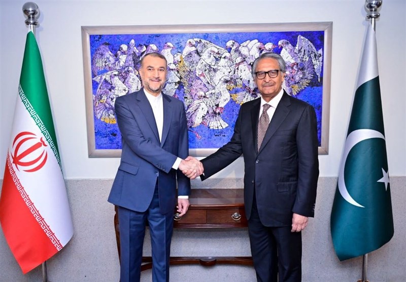 מנכ"ל דרום אסיה במשרד החוץ: ביקורו של אמיר עבדאללהיאן בפקיסטן הפך את האיום להזדמנות