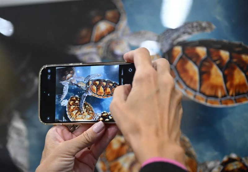 תחרות צילום עיתונות "אנדרה סטאנין" החלה במוסקבה