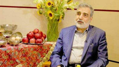 הסכמים בין איראן לרוסיה לבניית מספר תחנות כוח גרעיניות