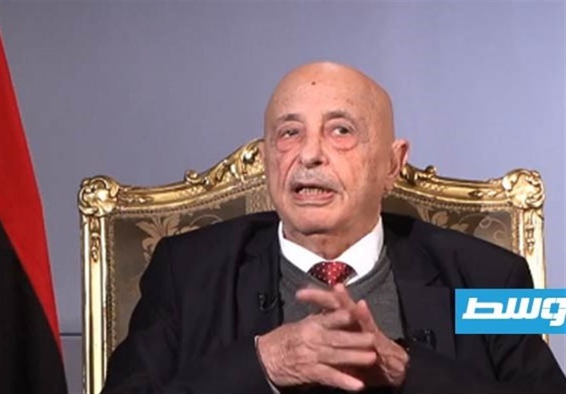 יו”ר הפרלמנט הלובי: הקמת ממשלה מאוחדת היא הדרך לשים קץ למשבר