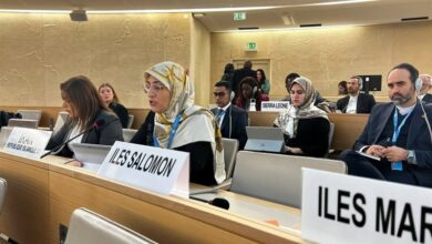 מנגנוני הפיקוח על זכויות האדם של איראן הם פוליטיים