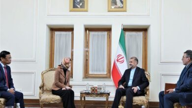 פגישה של סגן שר החוץ של וייטנאם עם אמיר עבדאללהיאן ובאגרי