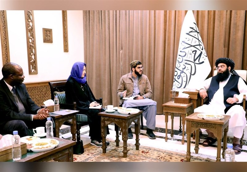 קאבול: לפליטים אפגנים אין תפקיד בחוסר הביטחון של פקיסטן