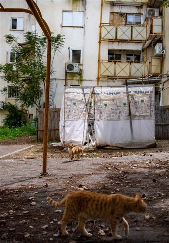 הארץ: ישראל ספגה תבוסה קשה