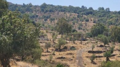 מתקפת התנגדות אסלאמית עיראקית נגד מטרה חשובה ורגישה בגולן