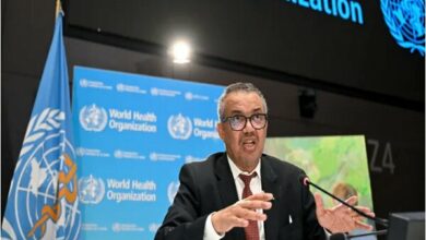 ארגון הבריאות העולמי מזהיר מפני מתקפה אפשרית של ישראל ברפיח