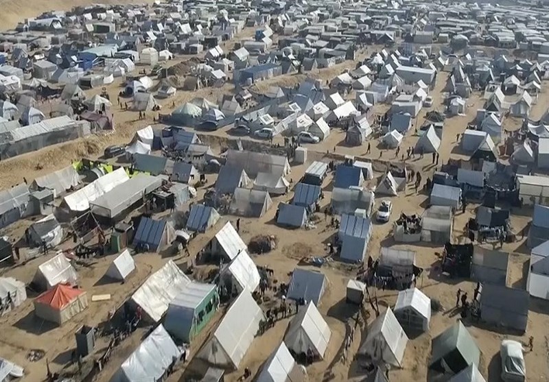 ההשלכות המוקדמות של פלישת רפיח על הציונים