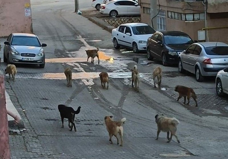 کشور ترکیه ,