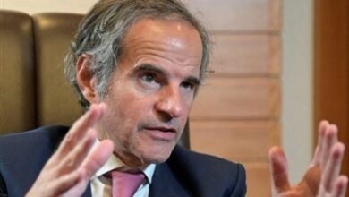 הצהרותיו של גרוסי בנוגע למשא ומתן שלו באיראן