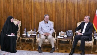 חריצות של המערכת הדיפלומטית לרדוף אחרי המקרה של מוחמד רזא נורי