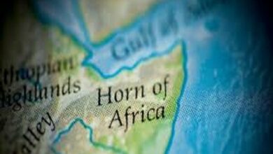 קרן של אפריקה; המבט של מעצמות אזוריות-בינלאומיות ממערב לאוקיינוס ההודי