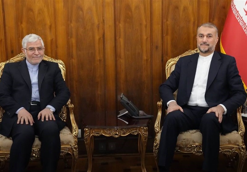 שגריר איראן: השהיד אמירבדוללהיאן היה עוזר של אפריקה