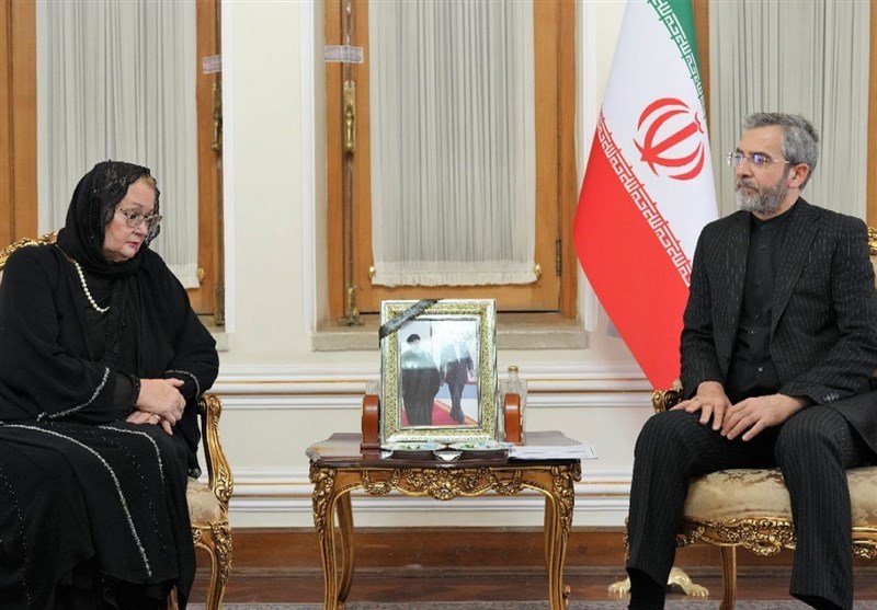 באגרי: הקשר העמוק בין תושבי איראן ובוסניה הוא עובדה שאין להכחישה