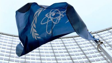 הגורמים שהופכים את הסוכנות האטומית ממוסד טכני למוסד פוליטי