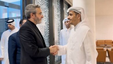 הדגש של באגרי על השימוש ביכולות לעצור את רצח העם בעזה