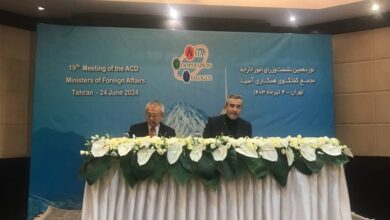 ההסבר של עלי באגרי על פגישת טהראן