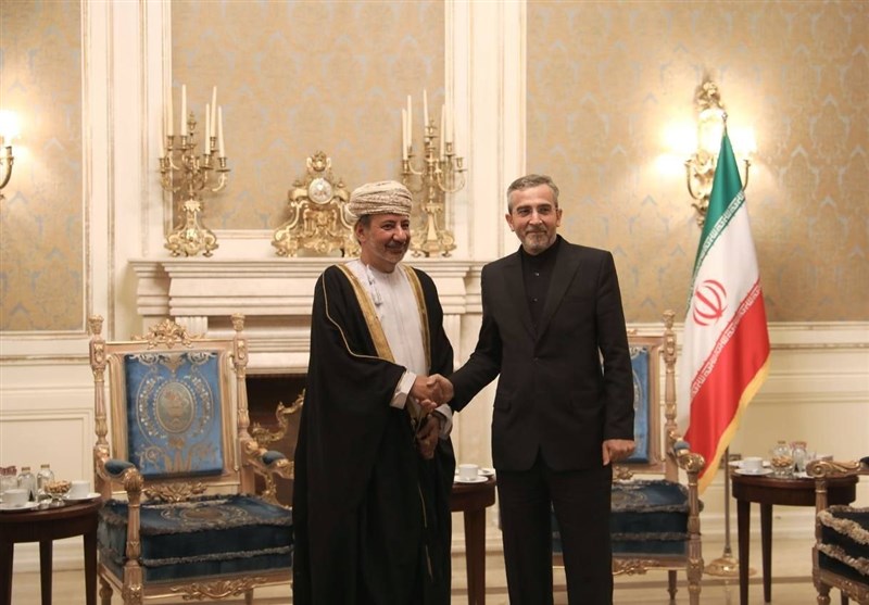 הפגישה של הנציג המיוחד של סולטנות עומאן עם עלי באגרי