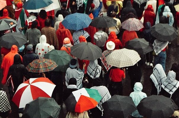 הפגנה מסיבית של אנשים קנדים בתמיכה בעזה + תמונות