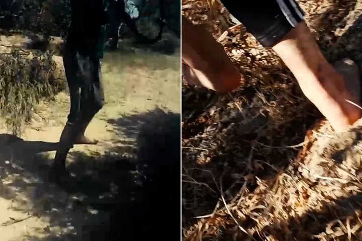 یحیی سنوار در سکوی تماشاگران فوتبال!/ نتانیاهو و «فرار از زندان»