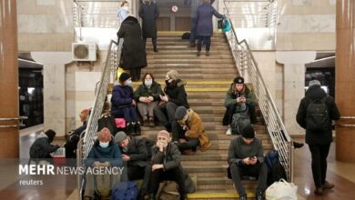 פקיד גרמני: יש לגרש מבקשי מקלט אוקראינים מובטלים