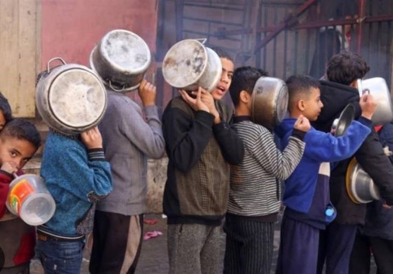 רעב בעזה פנו לאכילת עלי עצים