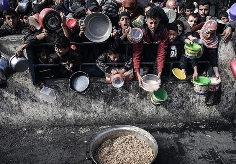 תושבי עזה פנו לאכילת עלי עצים