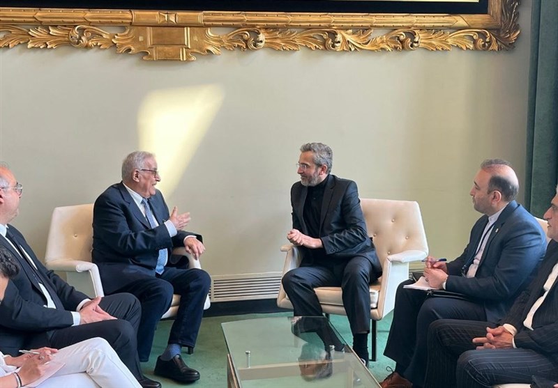 באגרי: מדינות האיסלאם צריכות להצטער על המשטר הציוני